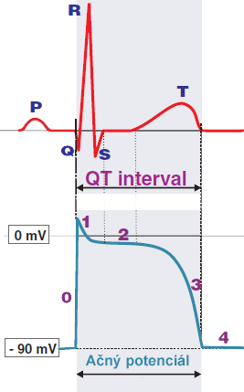 ecg qt interval represents the duration from depolarization to repolarization of the ventricles. Is duration of action potential