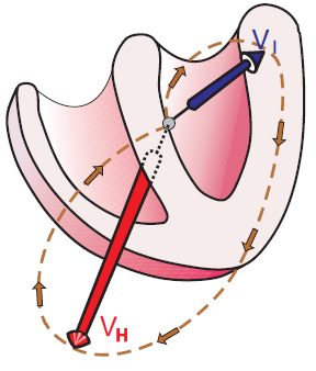 Left posterior hemiblock eletrical vectors